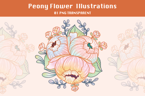 Download Peony Flower Illustrations - Premium Resources