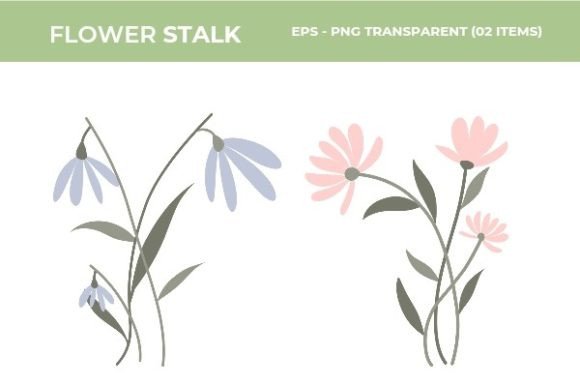 Download Beautiful Flower Illustrations - Premium Bundle