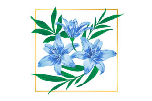 Download Vintage Blue Floral Flower Illustrations - Flower illustrations Collection