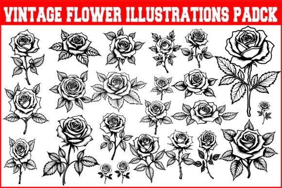 Download Vintage Flower Illustrations Pack - Flower illustrations Collection