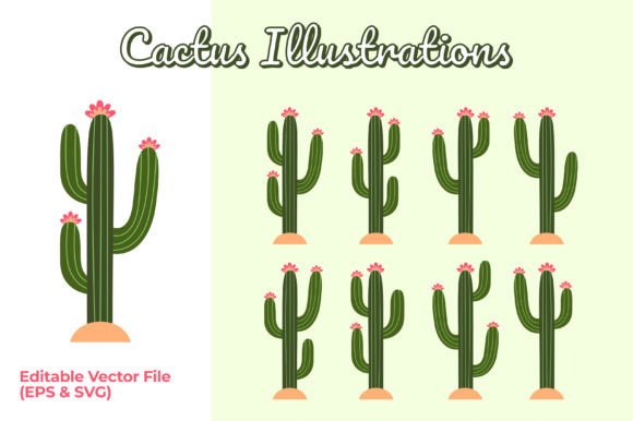 Download Set of Cactus with Flower Illustrations - Premium Resources