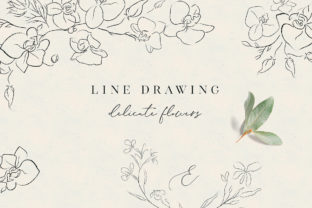 Download Line Drawing Orchid Flower Illustrations - Flower illustrations Collection